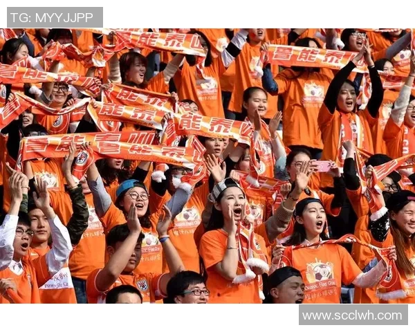 亚冠激战鲁能对决首尔FC争夺小组出线关键战役即将开启