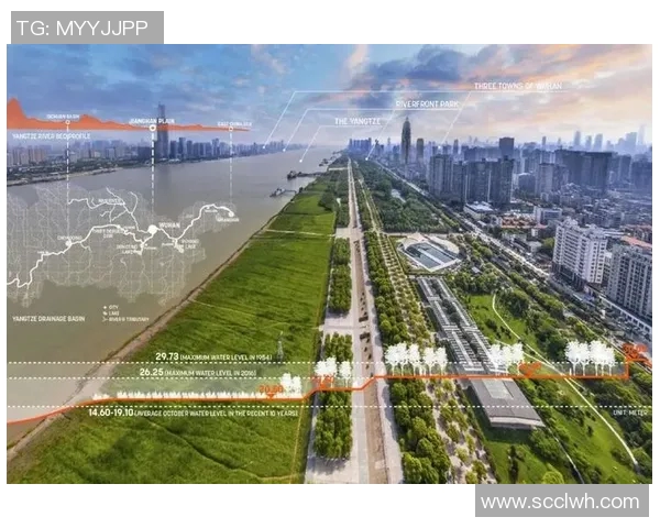 圣何塞地震对比纽约城的城市韧性与应急管理策略分析