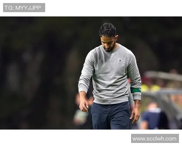 布鲁诺费尔南德斯如何引领曼联重回巅峰之路 布鲁诺费尔南德斯如何引领曼联重回巅峰之路