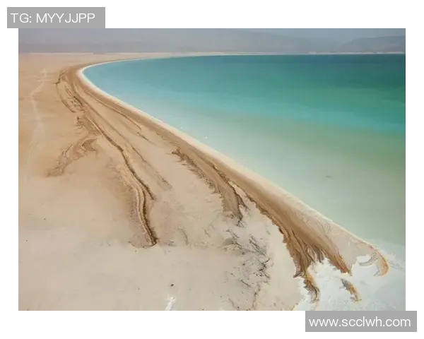 探索阿拉巴的历史与文化魅力揭示其独特的地理与人文风情 探索阿拉巴的历史与文化魅力揭示其独特的地理与人文风情