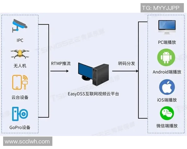 日本直播视频网站的崛起与挑战分析及未来发展趋势探讨