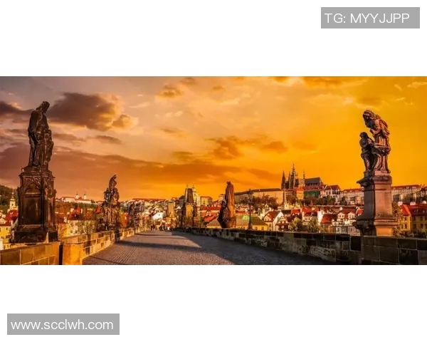 布莱克尼的魅力探索：揭示这座城市的历史与文化之美