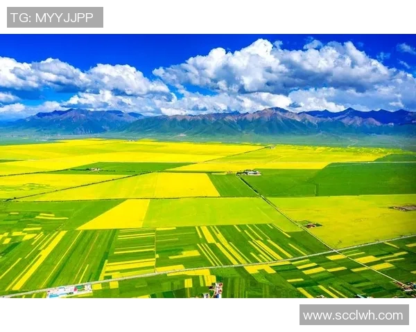 火山鸣泉与陕西的奇妙对话探索自然与人文的交融之美 火山鸣泉与陕西的奇妙对话探索自然与人文的交融之美