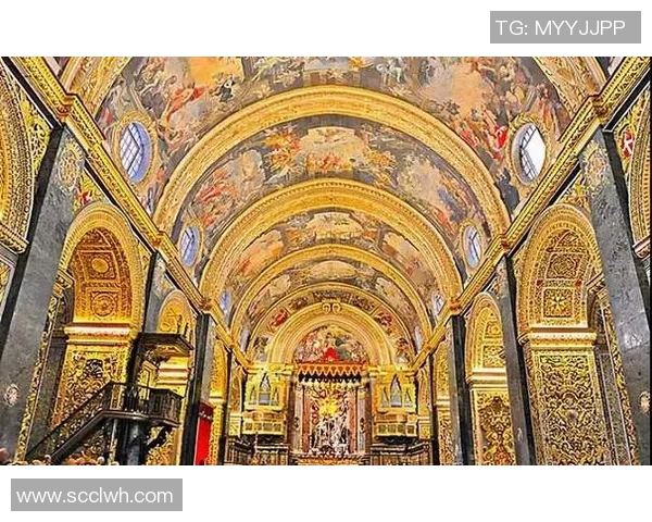 越南平定与同塔的历史交汇与文化碰撞探讨