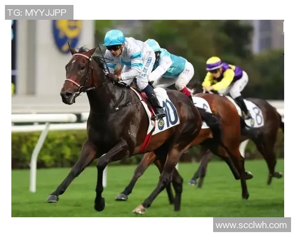 利马联盟对阵帕尔梅赛事分析与推荐策略分享