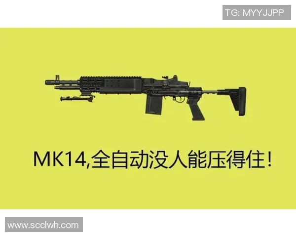 和平精英战队FPX的战术节奏分析与未来发展探讨