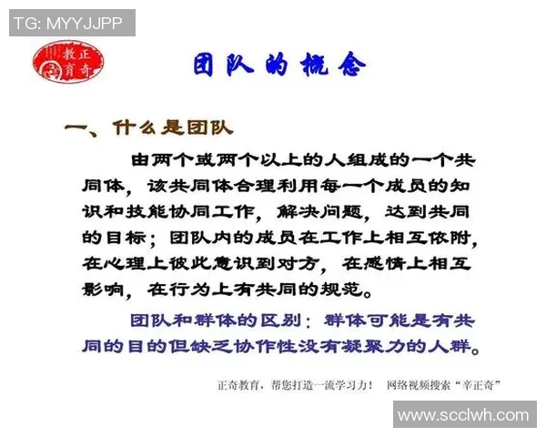 深入探讨WE团队协作表现的数据分析与优化策略