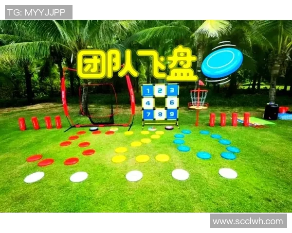 飞盘运动的魅力与挑战：深入探讨北京飞盘队的耐力训练与比赛表现